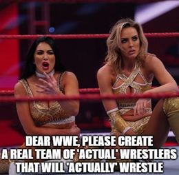 Wrestlers memes
